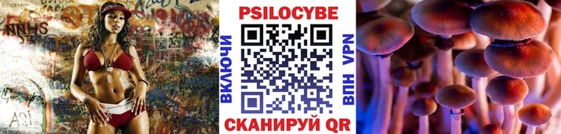 Псилоцибиновые грибы Psilocybine cubensis  Купить где  Калач-на-Дону 